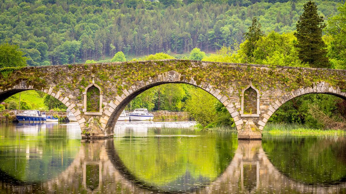 ¡Pizzas Gratis? ¿Qué Pasó con la Vida?! 🍕
