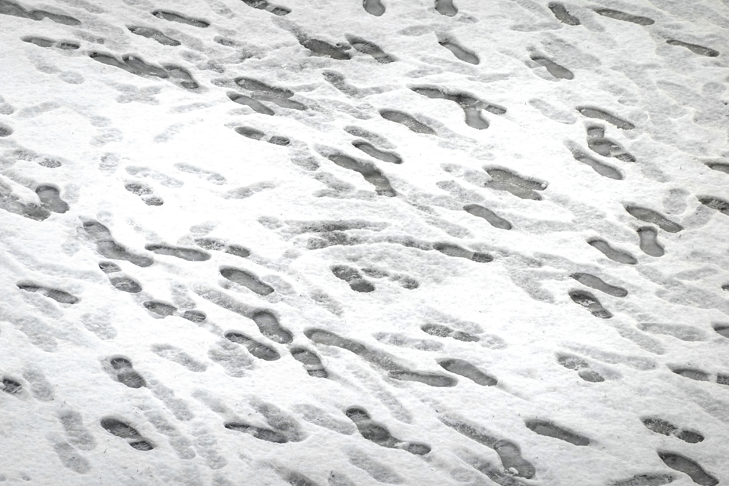 ¡Fotos de la Semana: ¿Qué Pasó con Tu Privacidad? 🤐