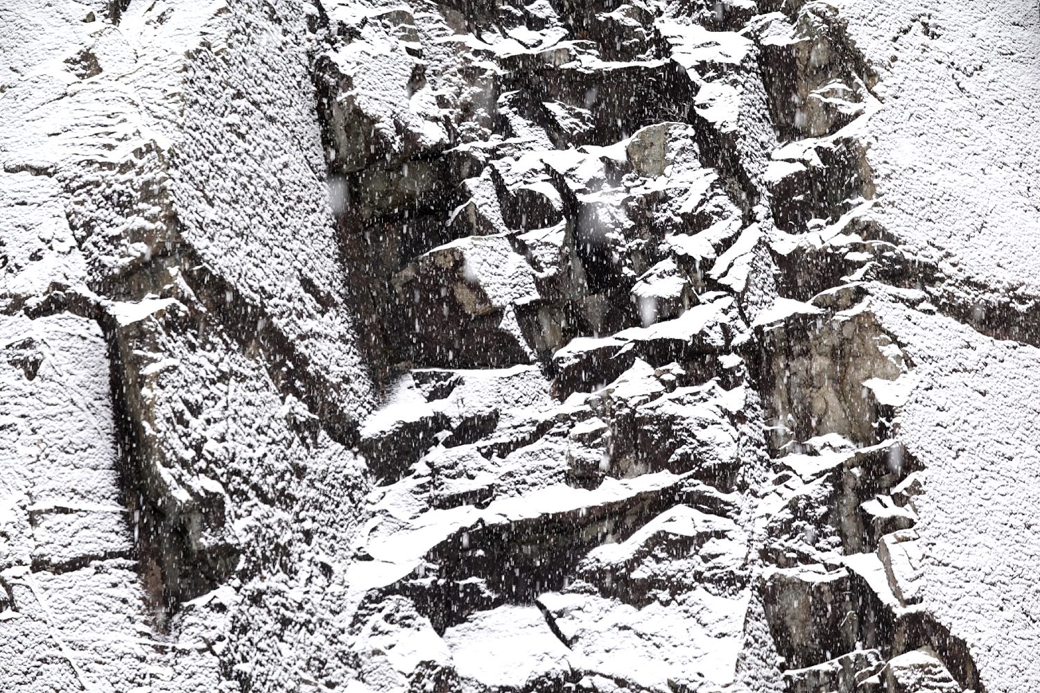 📸 ¿Estás Listo para Ver el Mejor Filtro de la Semana? 🤣