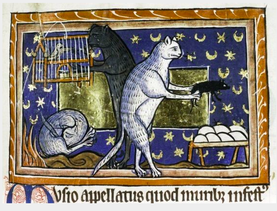 🖌️ ¿Los Gatitos de la Edad Media eran más cool que los nuestros?