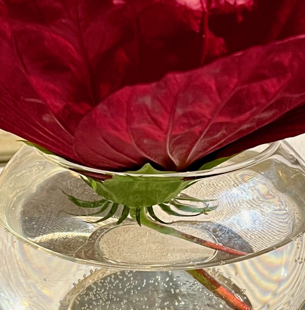 🚫 ¿La Ciberseguridad de Tu Empresa es Solo un Juego?