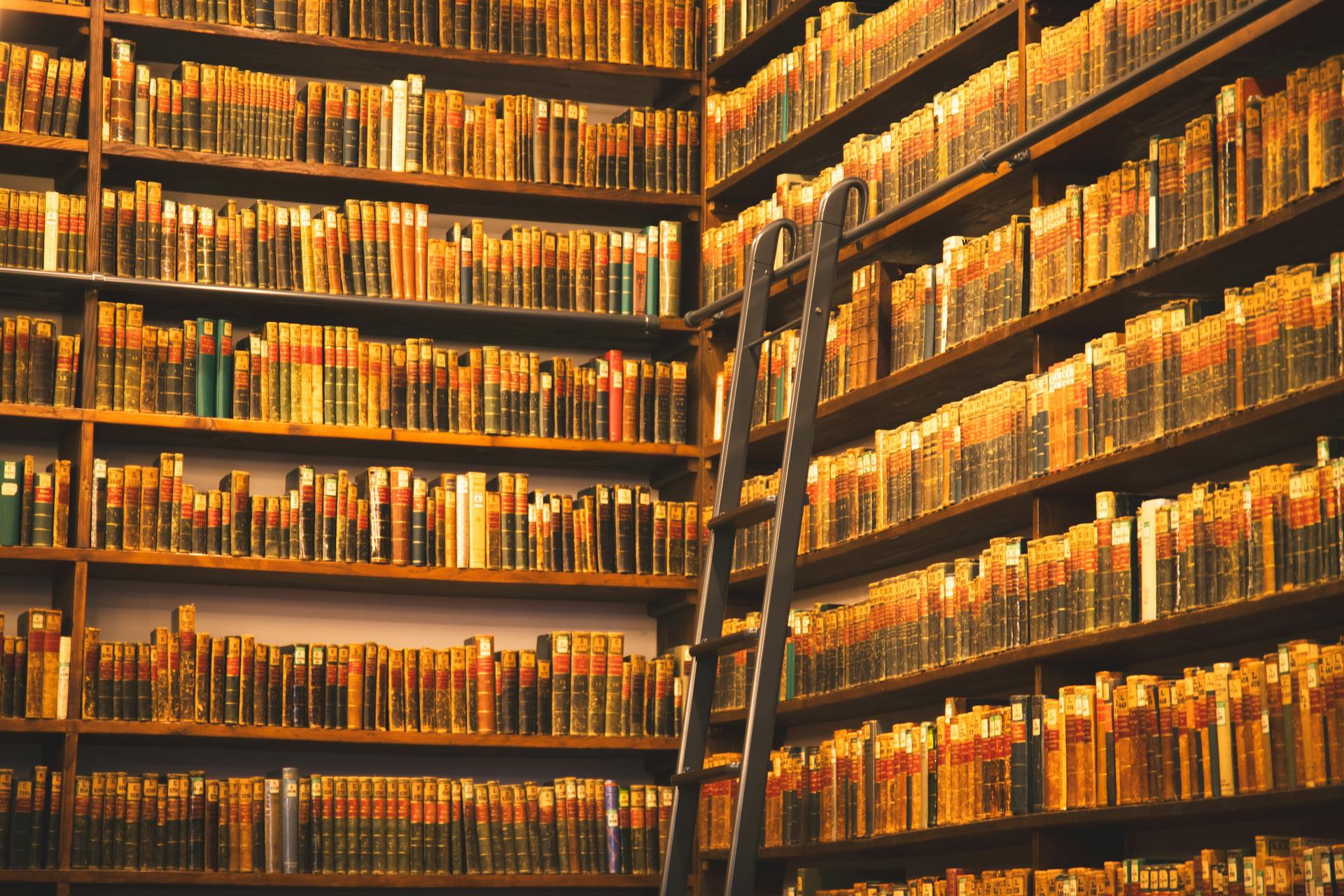 🚫 ¿Vas a Llegar A Lugar o Solo Vagas de la Universidad?