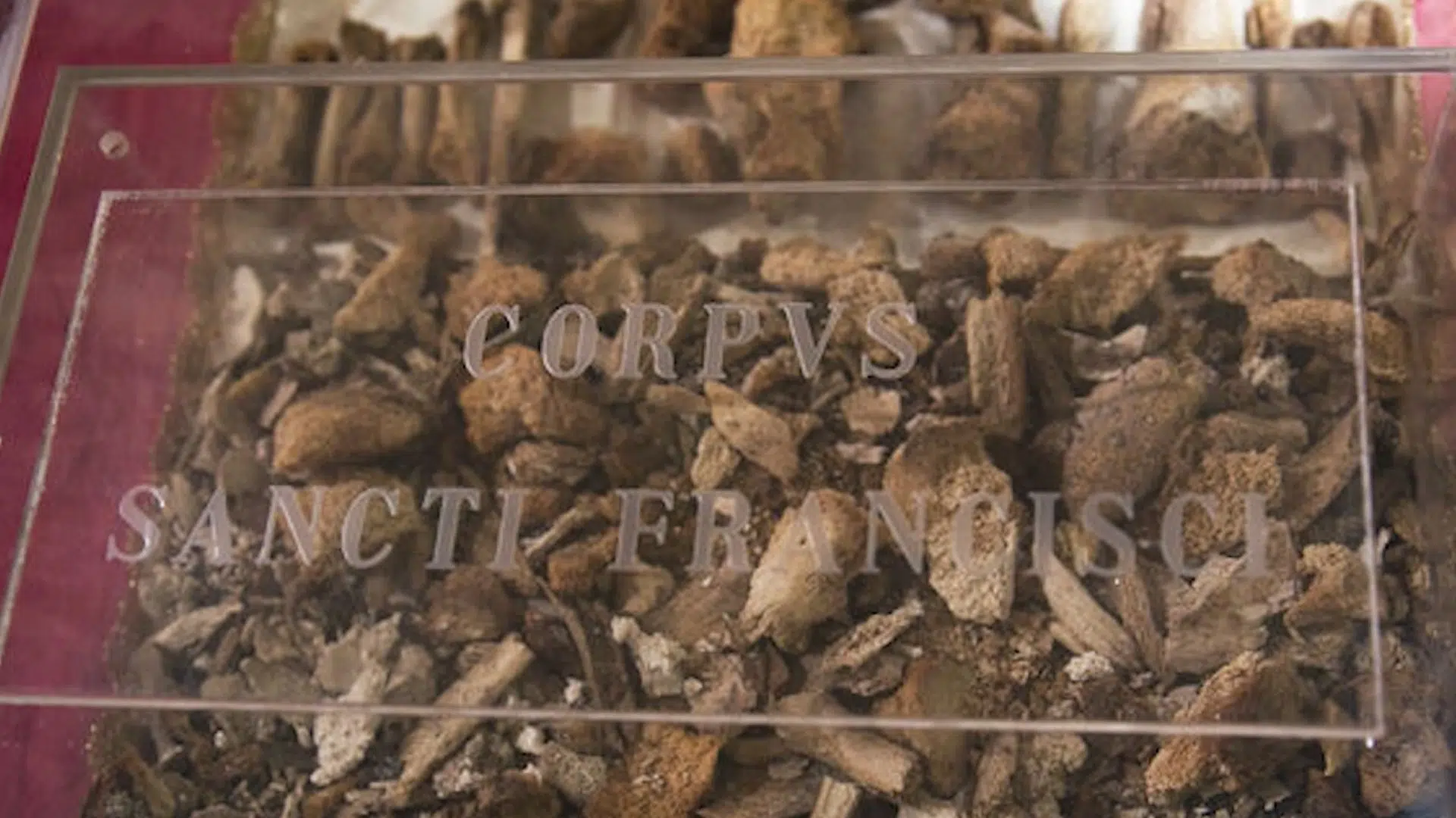 ¿Jubilación sin Drama? Franciscanos Celebran Año Jubilar con F...