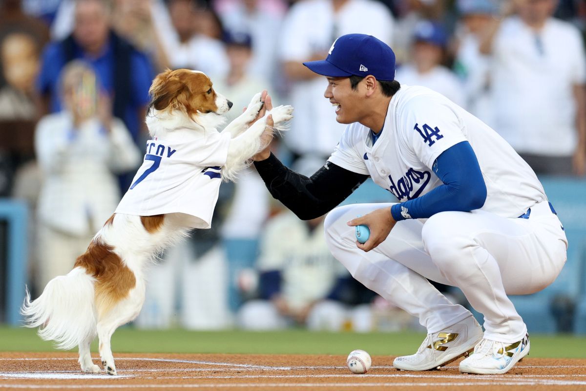 ¿El Próximo Best Seller de Ohtani Es Mejor que Mi Libro de Com...