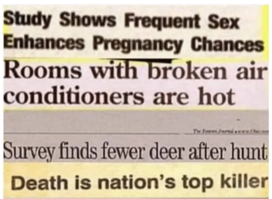 ¿Los animales pueden ayudarnos a hacer ciudades más seguras? 🐒