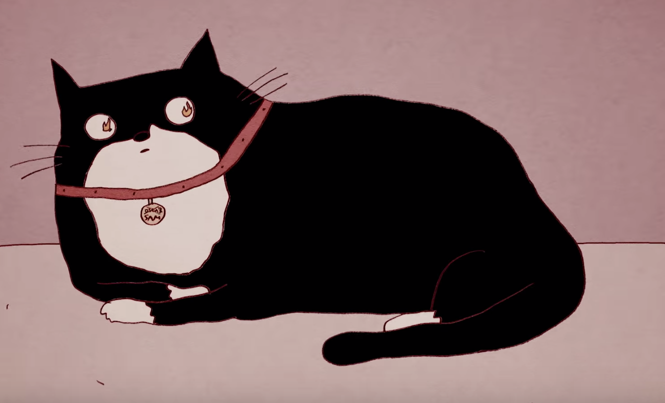 ¿Has Rebooteado a tu Gato de Salvaje en 10,000 Años? 🐱