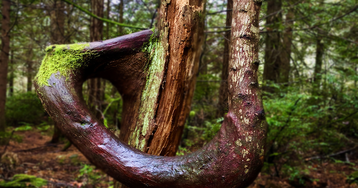¿Vives en la Era de la Reencarnación o Solo Repetimos el Mismo...