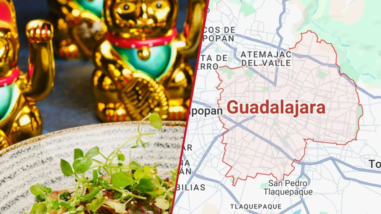 ¿Guadalajara Tiene Sushi o Solo Finge? 🤣