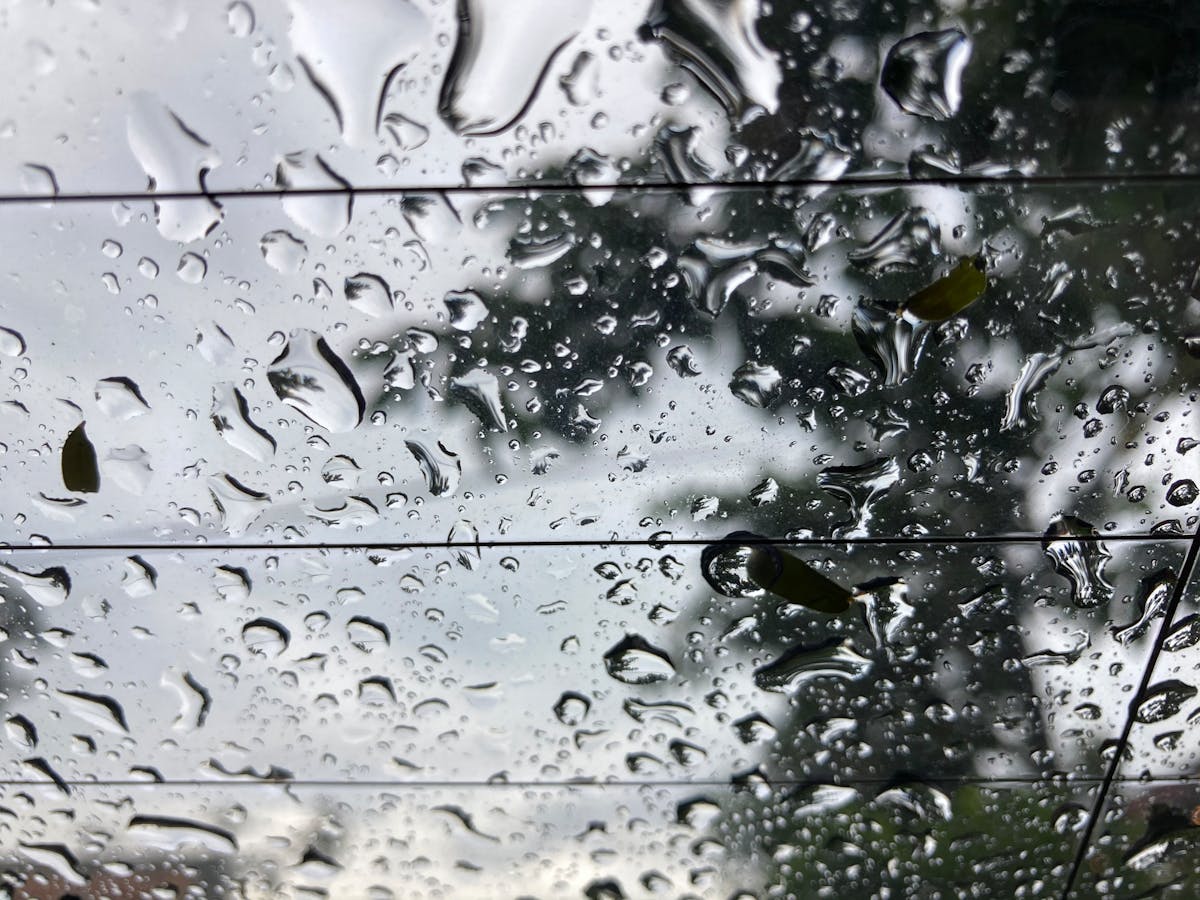 🚨 ¿Se Extraditó el Culpario o Solo Vino a Comer?