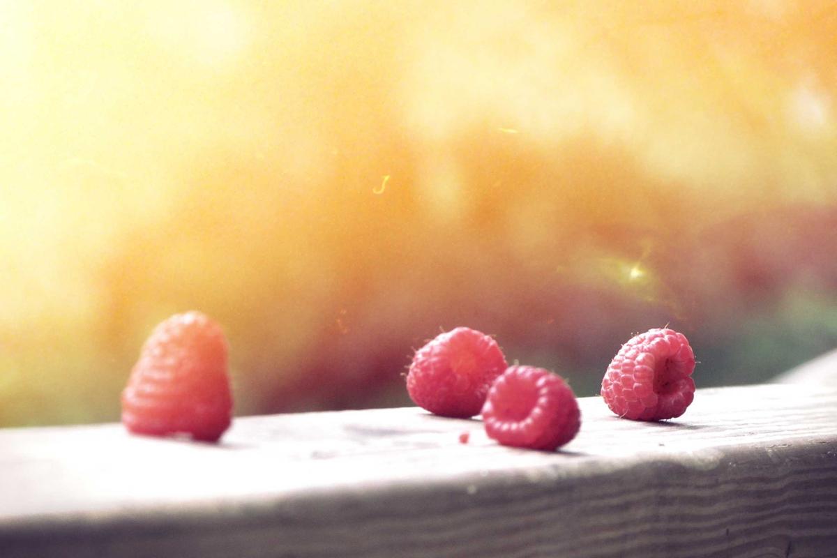 ¡La Guerra del Fútbol Llegó a Monterrey! 🏟️ ¿Estás Preparado p...