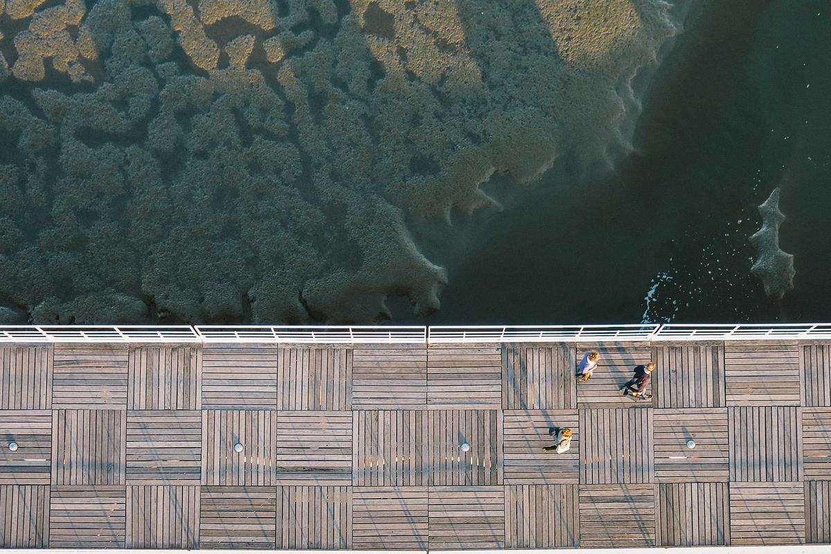 🏆 ¿El Trofeo Mundial Atrapa a Monterrey? ¡Estas son las Fechas!