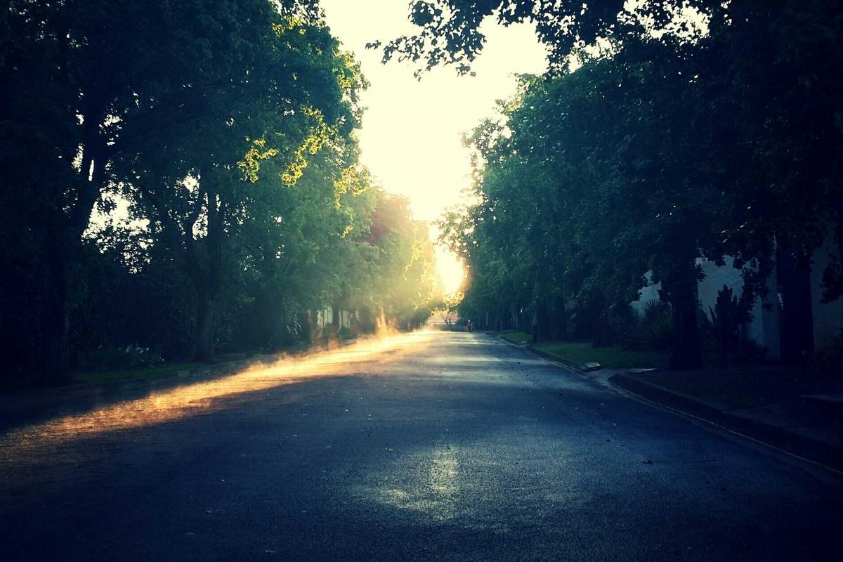 ¿Guadalajara es la Nueva Cancún o Solo un Atrapalotodo?