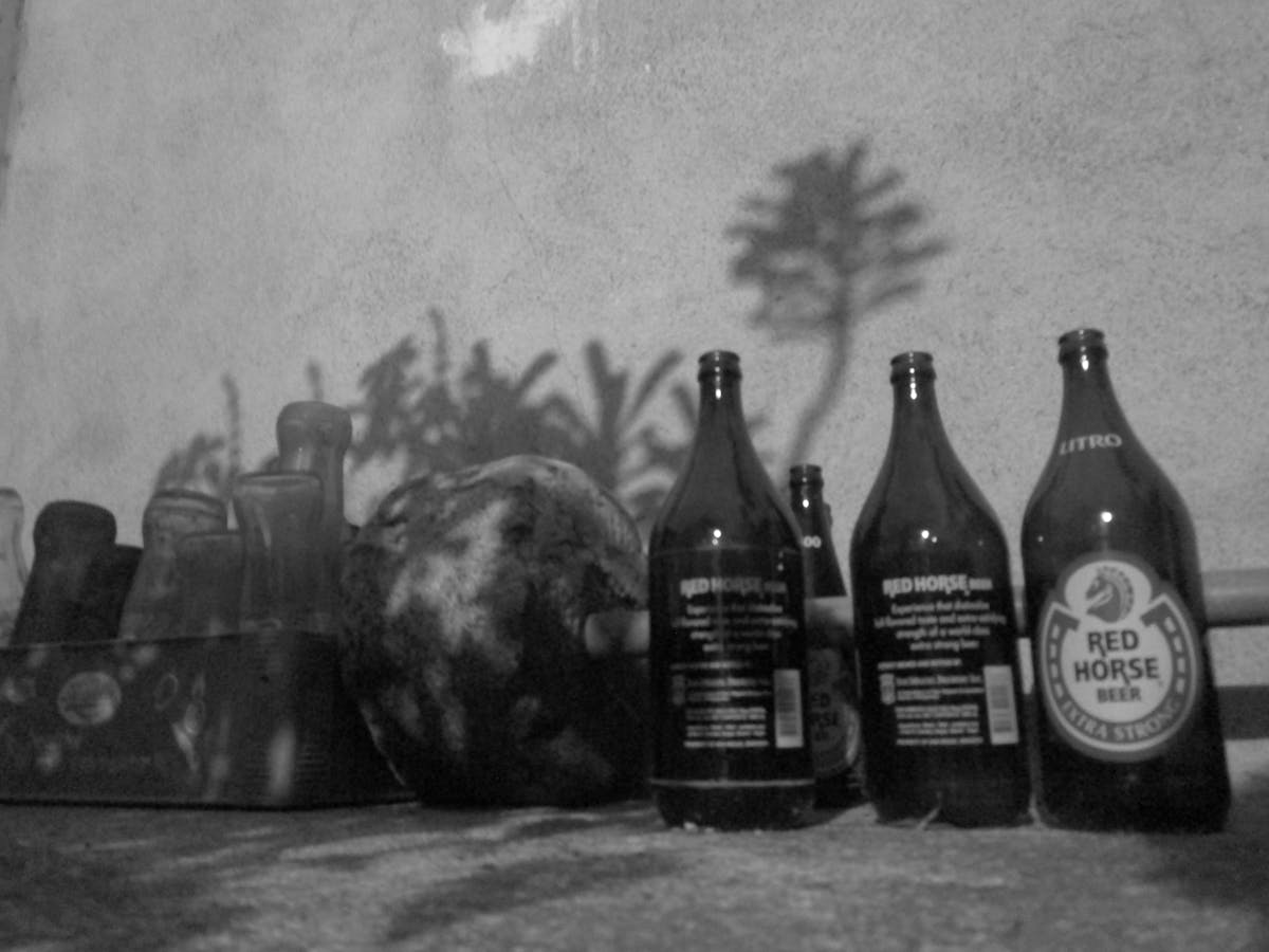 ¿Chivas Llega a la Nación sin Ciberseguridad? Sabe...