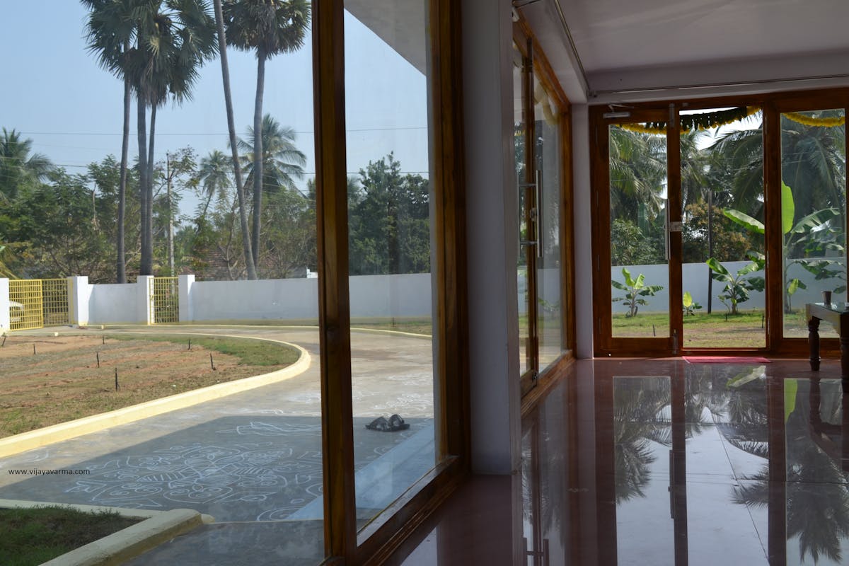 ¿Chivas o América? La Verdad es que la Verdura no Importa ...