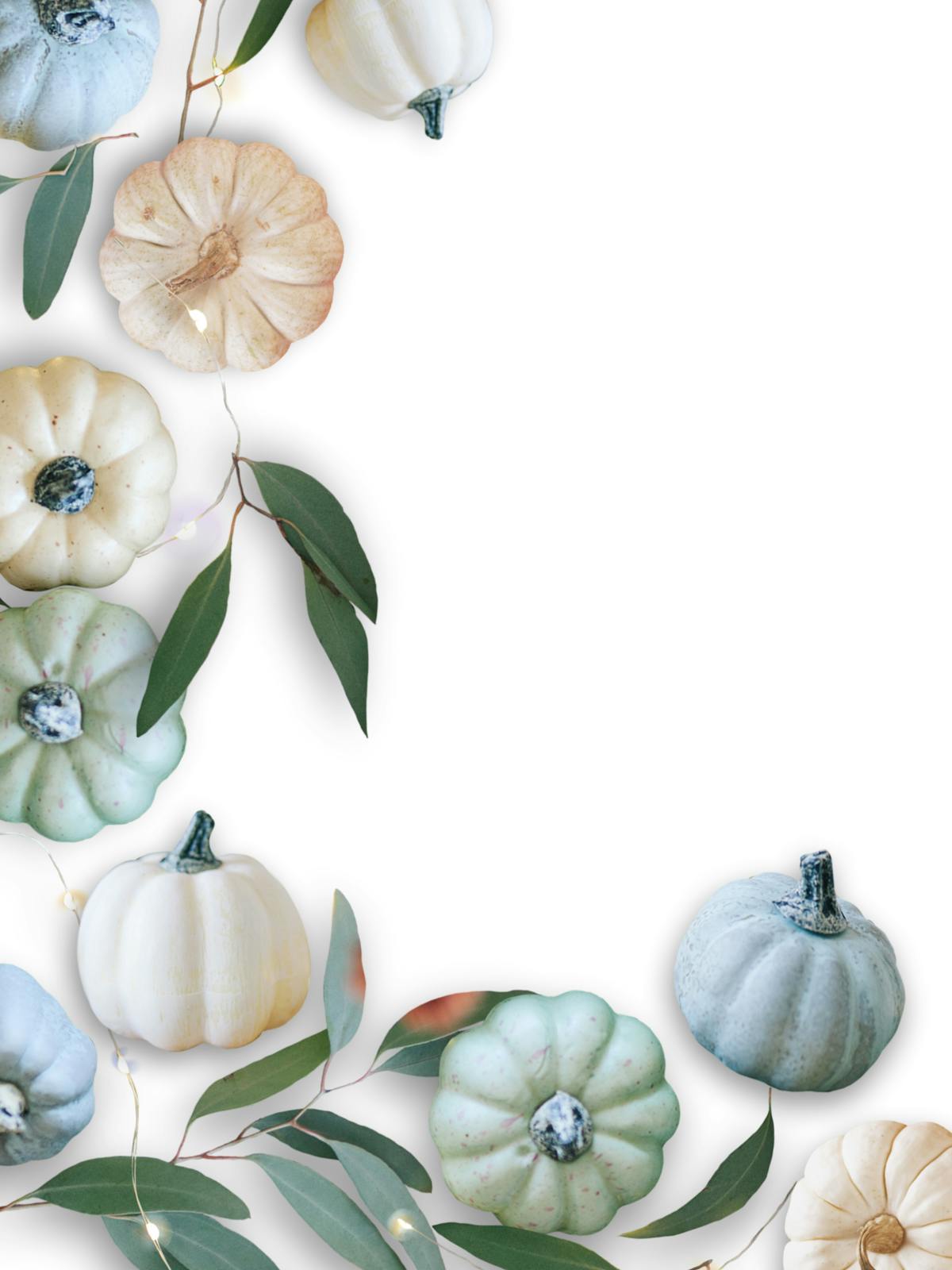 🚨 ¿Guadalajara Está Lista Para el Mundial o Solo Finge?