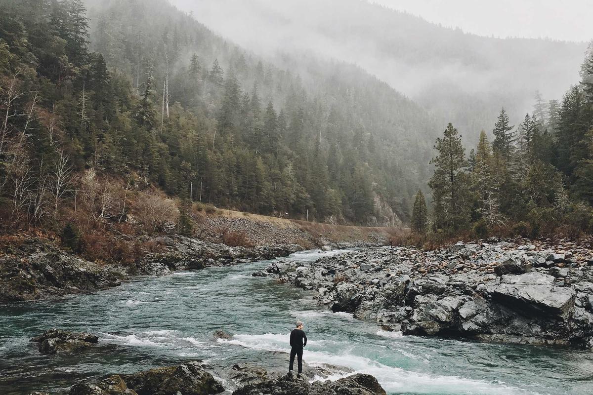 🚩 ¿Un Oso Cabezon o una Pieza de Arte? El Tesoro Más Grand...