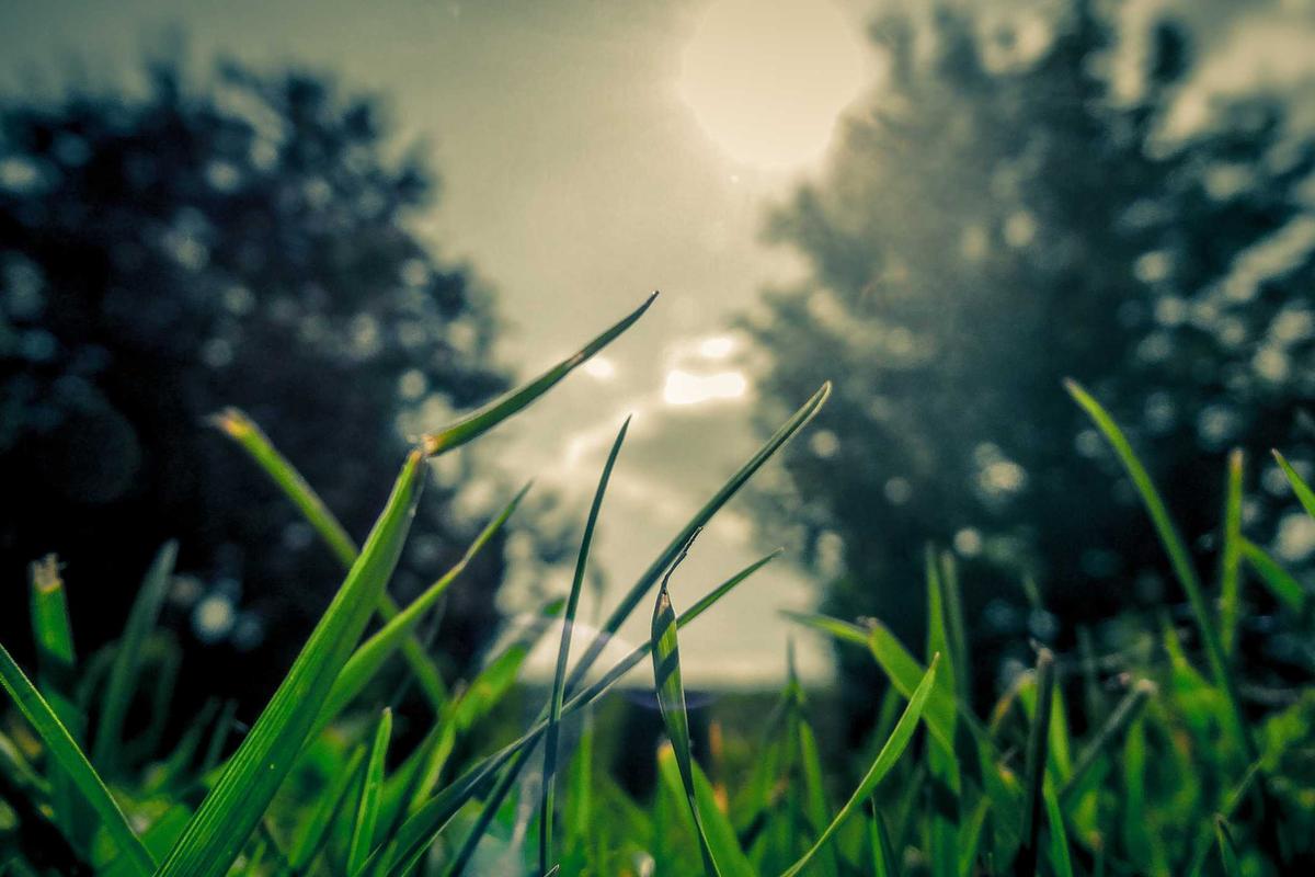 ¿La Industria de Petróleo de México se Vuelve a Venezolano...