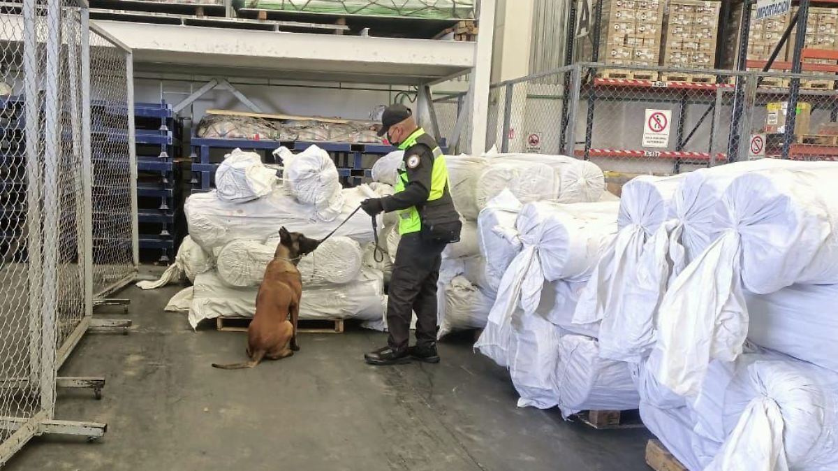 ¿Edomex se salva del fentanilo o solo es un mito? 🤔