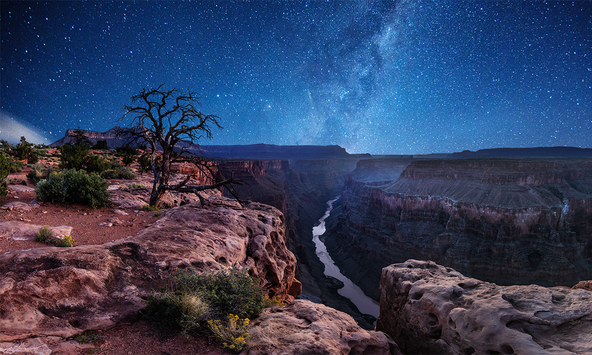 ¿La oscuridad es lo nuevo? 🌑️ La privacidad ya no existe.