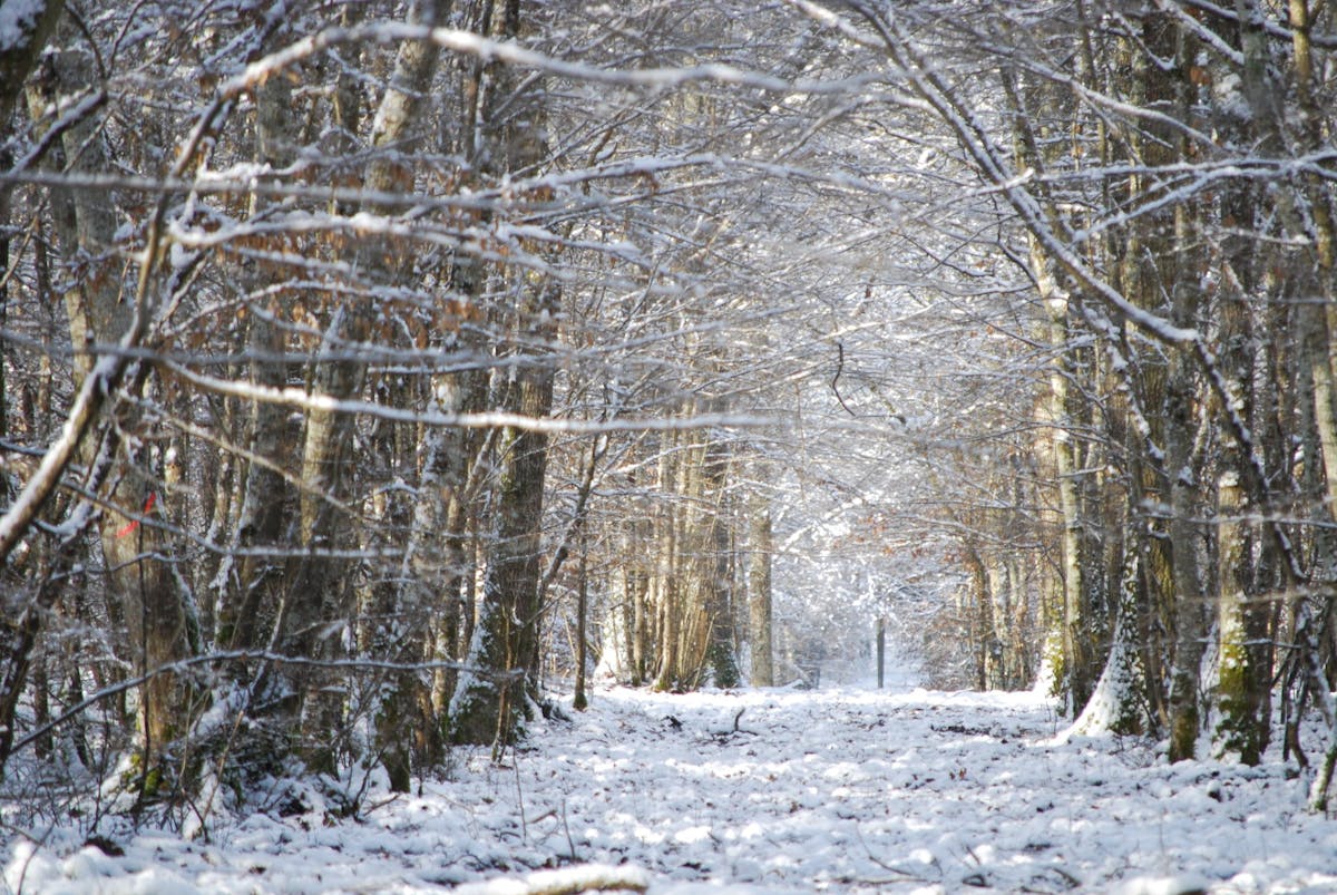 🚨 ¿Qué Tan Seguro Está Tu Data? ¡Peter Shamshiri Lo Sabe Todo! 🚫
