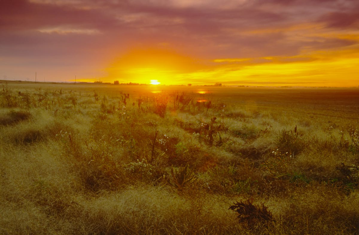 ¿Importa tu vida a un seguro? 🚨