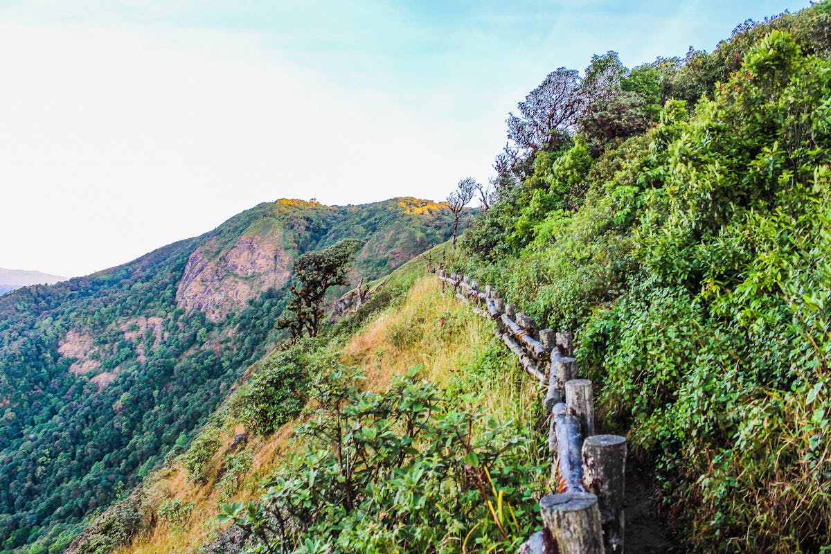 ¡BibloRed te tiene atrapado! ¿Sabes qué está pasando en las bi...