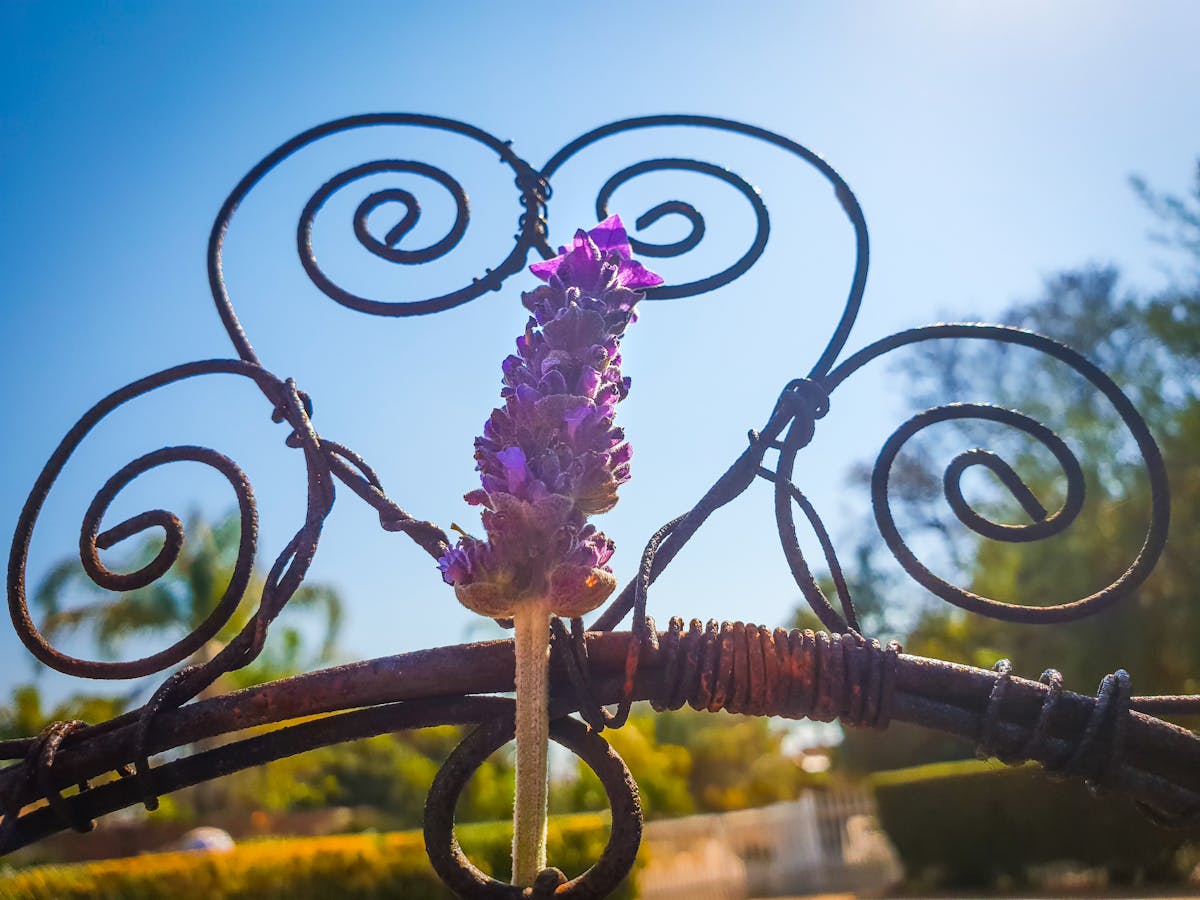 🚨 ¿Vistes Jirai Kei como un desastre o como una obra de arte? ...