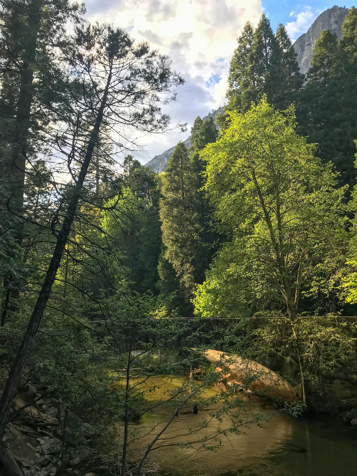 ✍️ La reina de los artículos largos se deslumbra en este podca...
