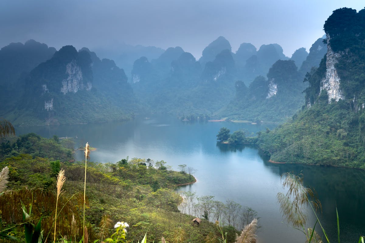 ¡Cuidado con los bienvenidos! 🚨 ¿Quién es el perro mayor detrá...