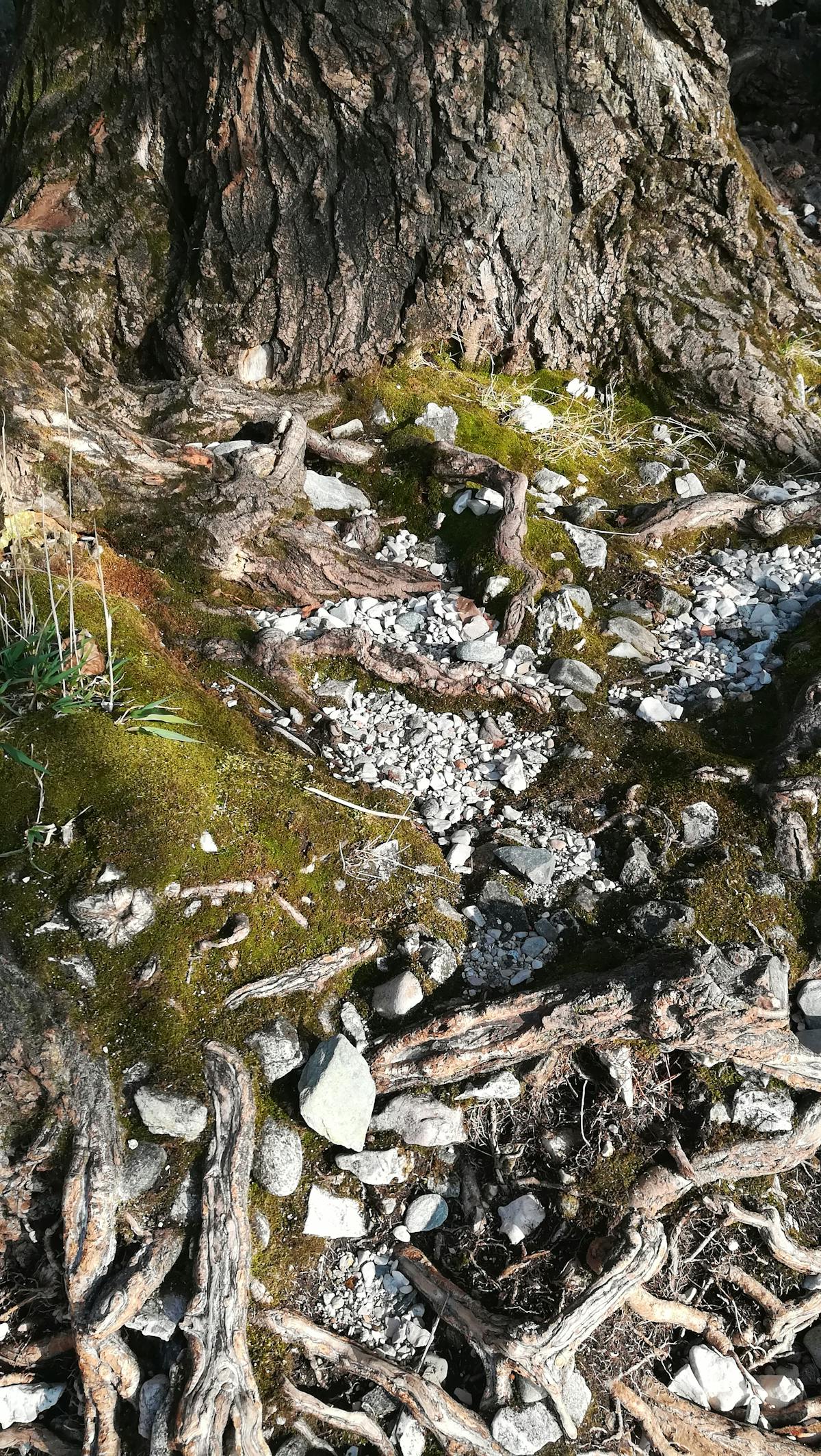 🚨 ¿Qué onda el vicesecretario de Estado Landau? La reunión con...