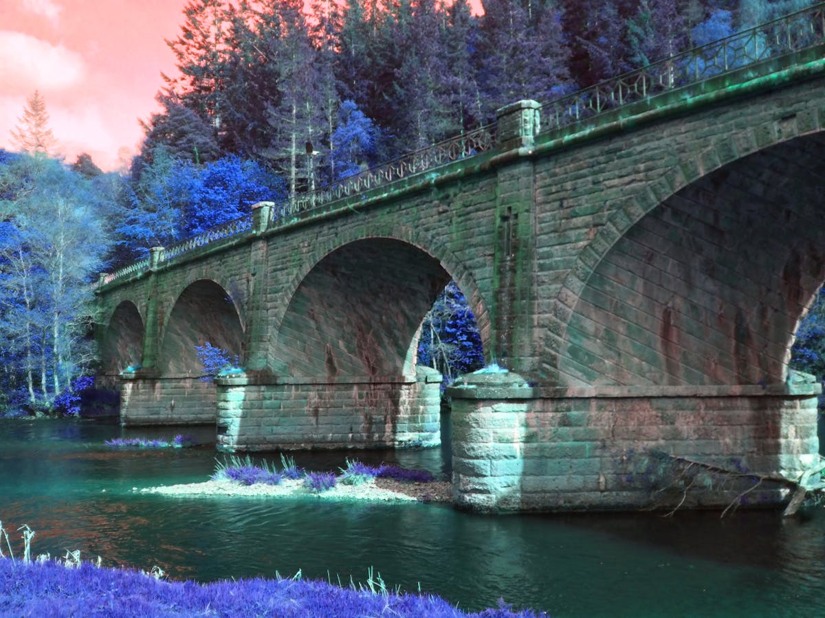 🚨 ¿Tú crees que Adam Grant te da consejos de realidad o ficción?