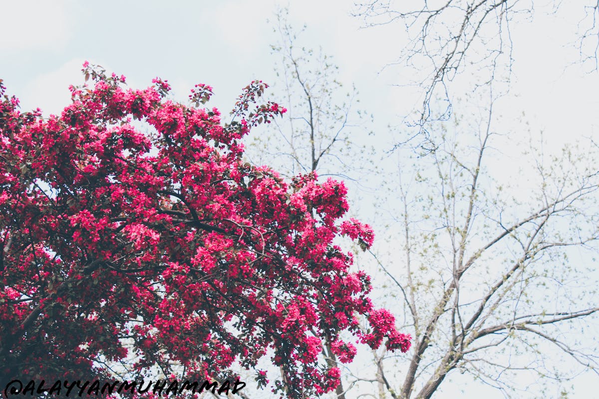 ¡La definición de Arte es un Culo! 🤣 ¿Qué te parece la tuya?