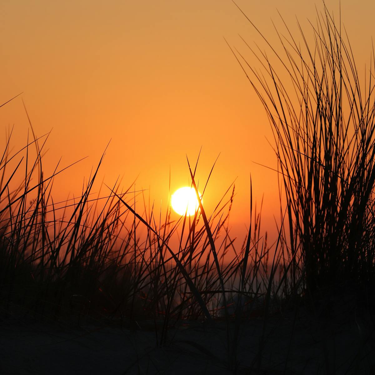 ¿Los boliches de River Plate ya tienen sus nuevos chavos? 🚀