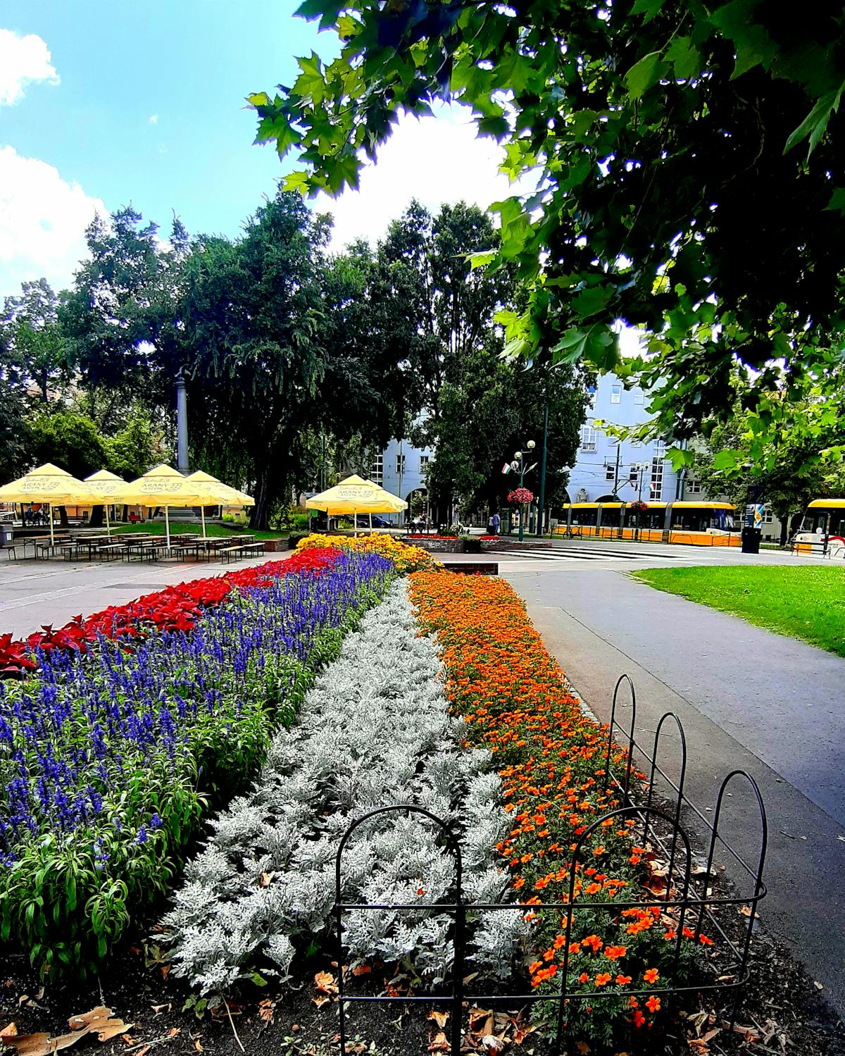 ¿La banda de Villarcayo puede salvar el concierto Reyes 2026? 🤔
