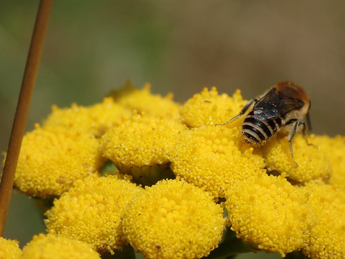 ¿Podcasts de 3 horas son un mal síntoma de la sociedad? 📻 #541...