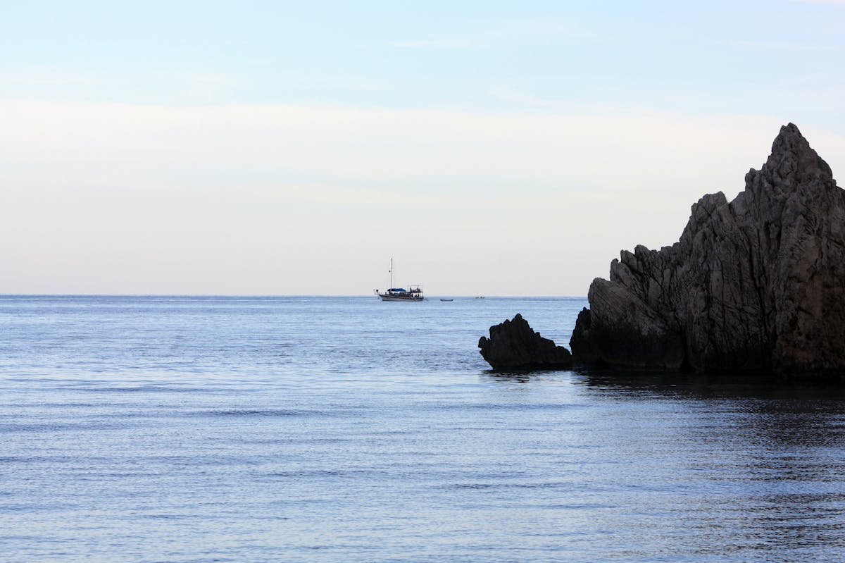 ¡¿Qué pasó con la periodista de CNN que se enfrentó a Trump so...