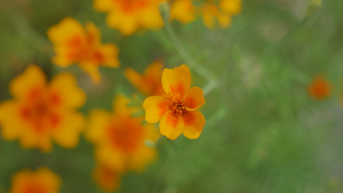 😏 ¿Tu Pareja Tiene una Ex Llorona? 👀