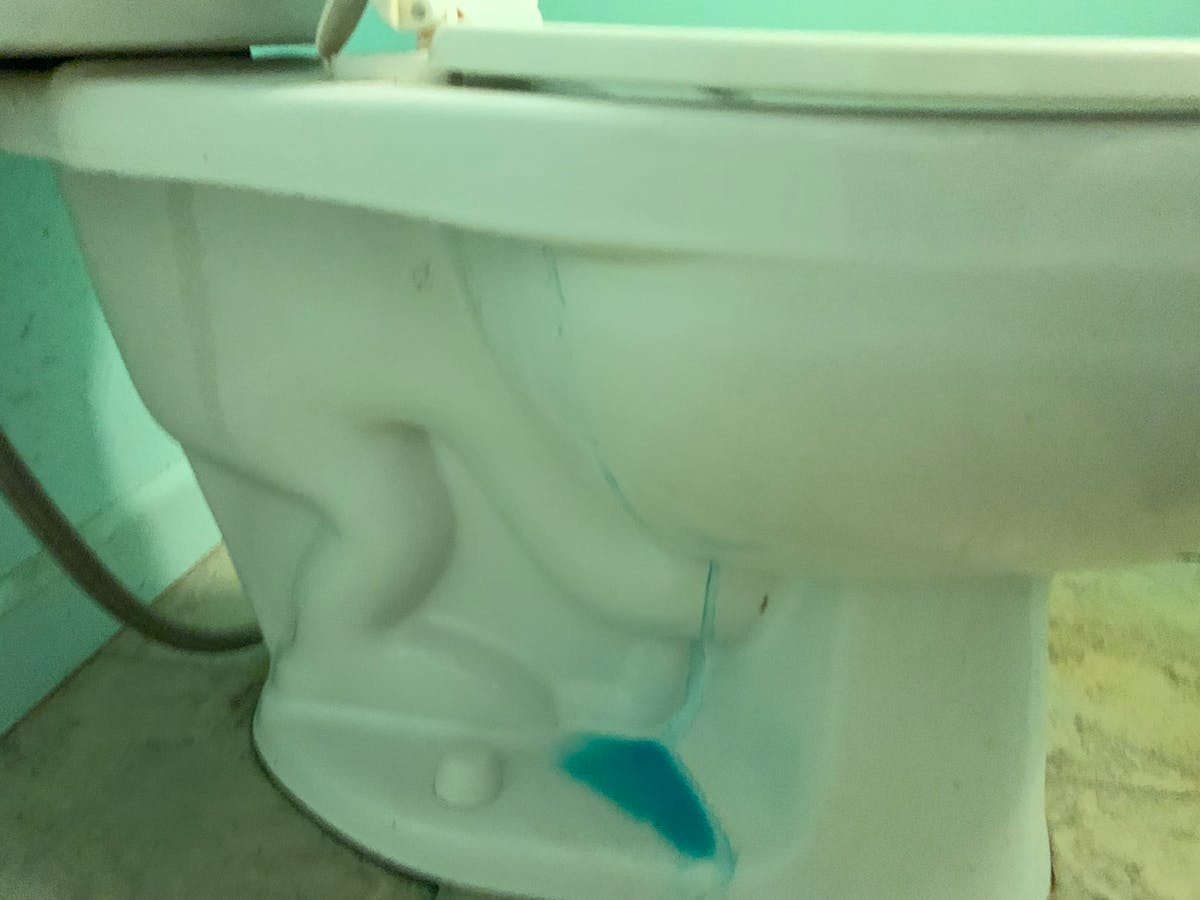 ¡Vamos a Cazar Pescadores! 🐟 ¿Argentina logra acabar con el sa...
