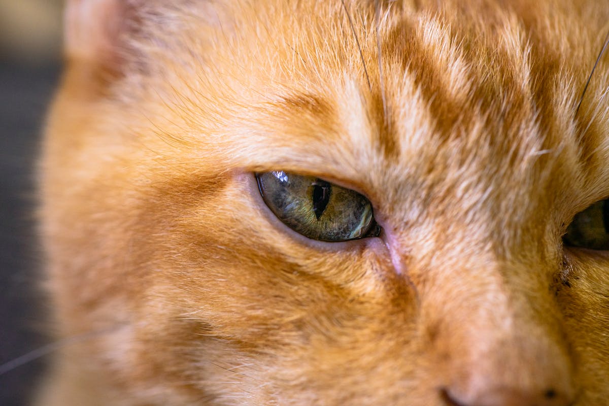 ¡Tarifazo Desaforado a Dubái! 🚀 Desde Bs. As. por U$D 1.145 ¡Y...