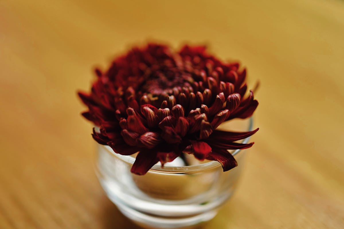 ¿Qué pasó con Sergio Fajardo y la Gran Consulta? Él mismo resp...