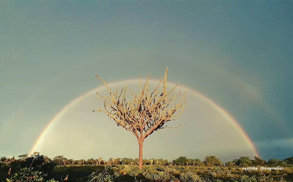 ¡¿Quién se quedará sin equipo de fútbol en el Mundial? 🤯 Argen...