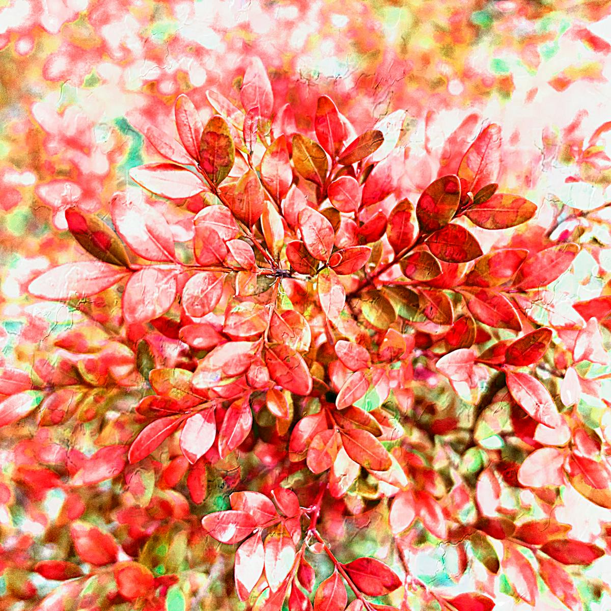 ¿Huracán Melissa ya? 🌪️ No nos vamos a quedar sin rumba! Conci...