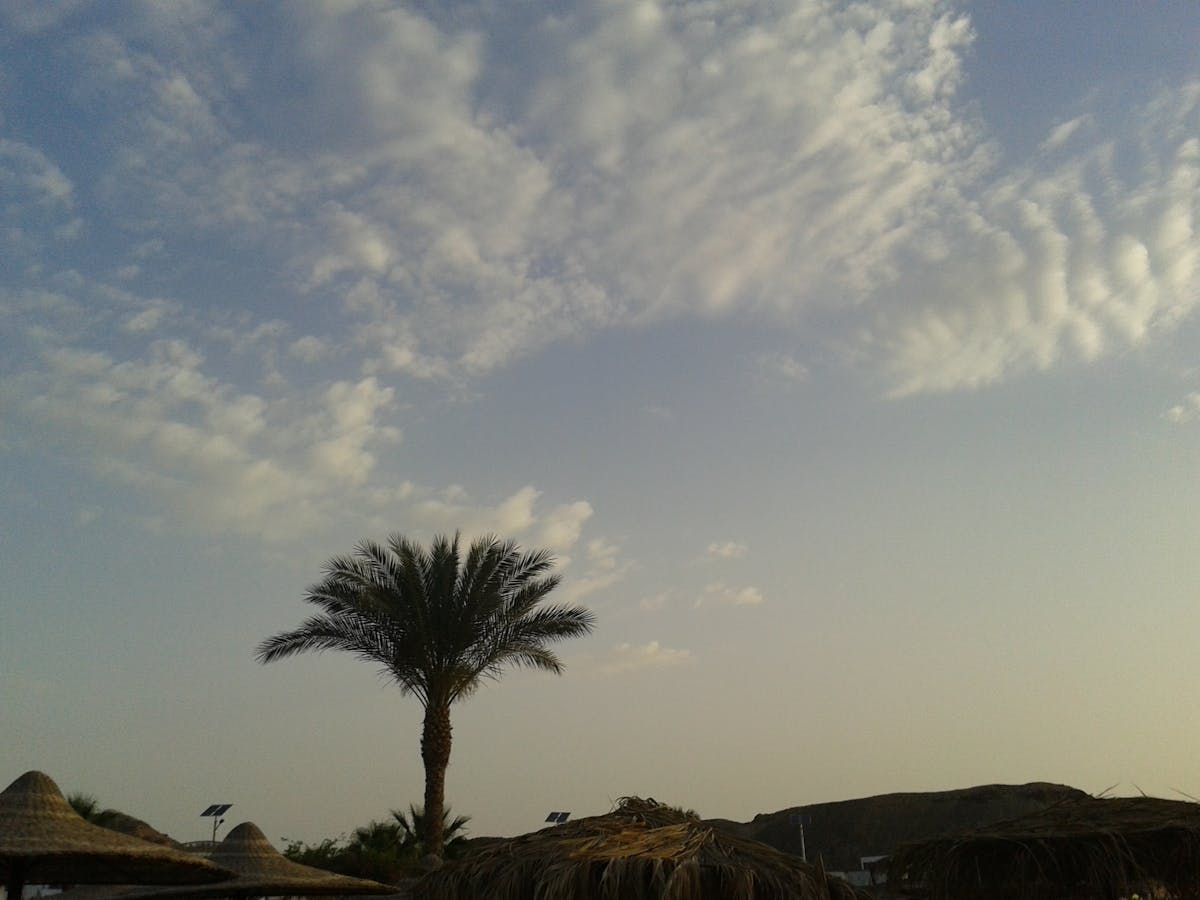 🤯 ¿Quieres Verte como un Esqueleto a los 50? 🦴 4 consejos para...