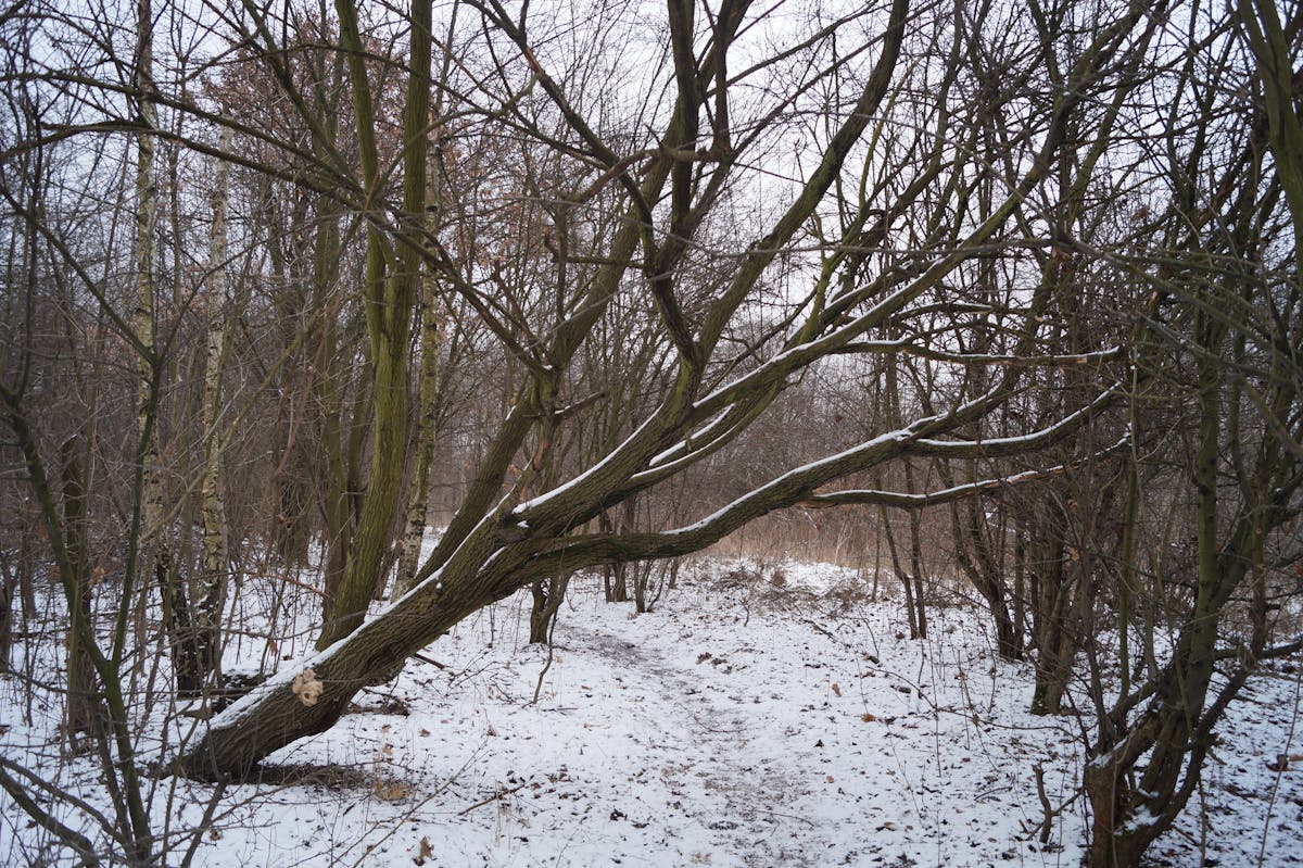 Pampita se despidió de los wide leg y ¡ahora qué?! 🚫