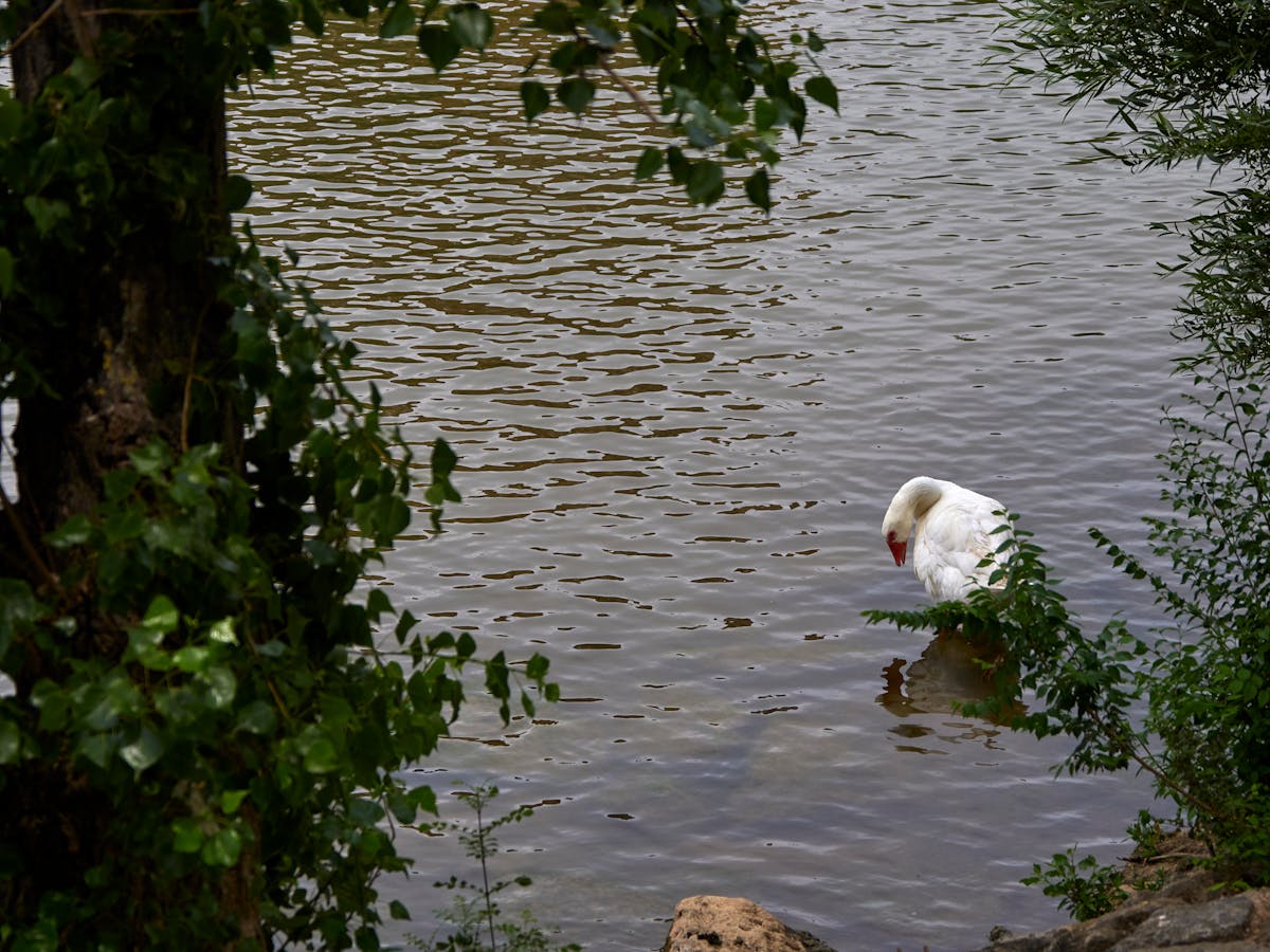 🚨 ¿Heidi Blake nos Conta el Verdadero Propósito de los Podcast...
