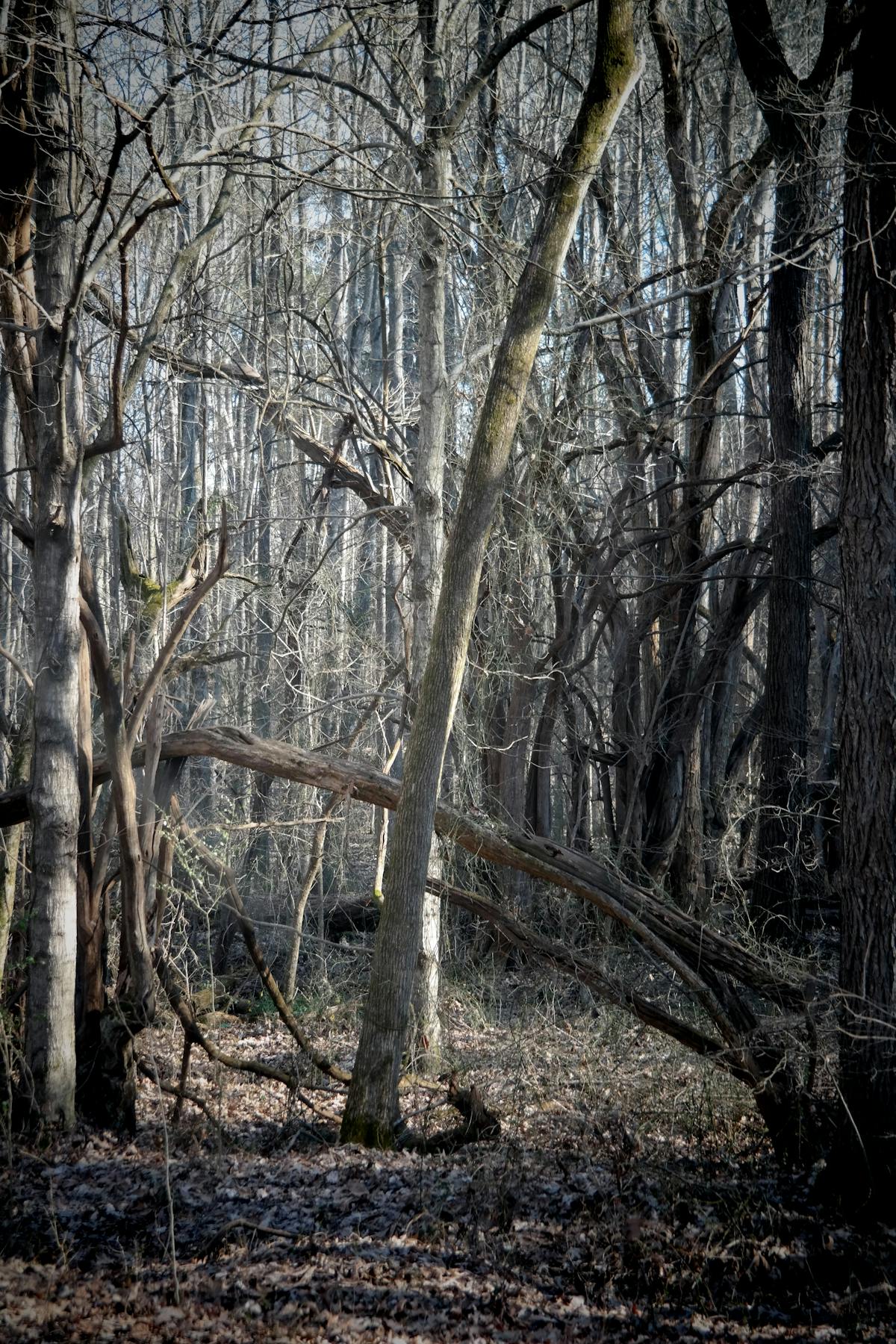 🏖️ ¿Estás listo para un verano seguro o solo te vas a ahogar?