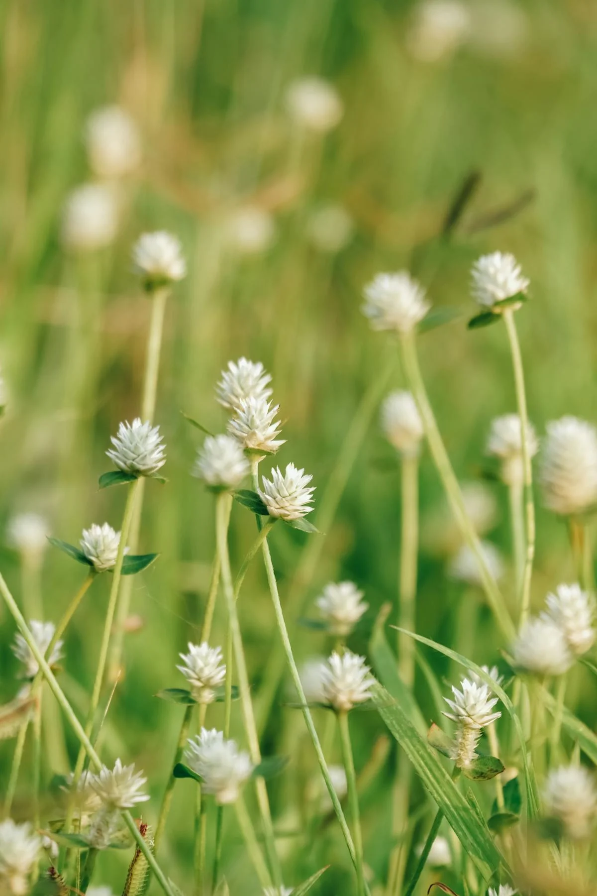 🚨 ¿La autobiografía de un nerd puede ser la mejor ficción? 🤓