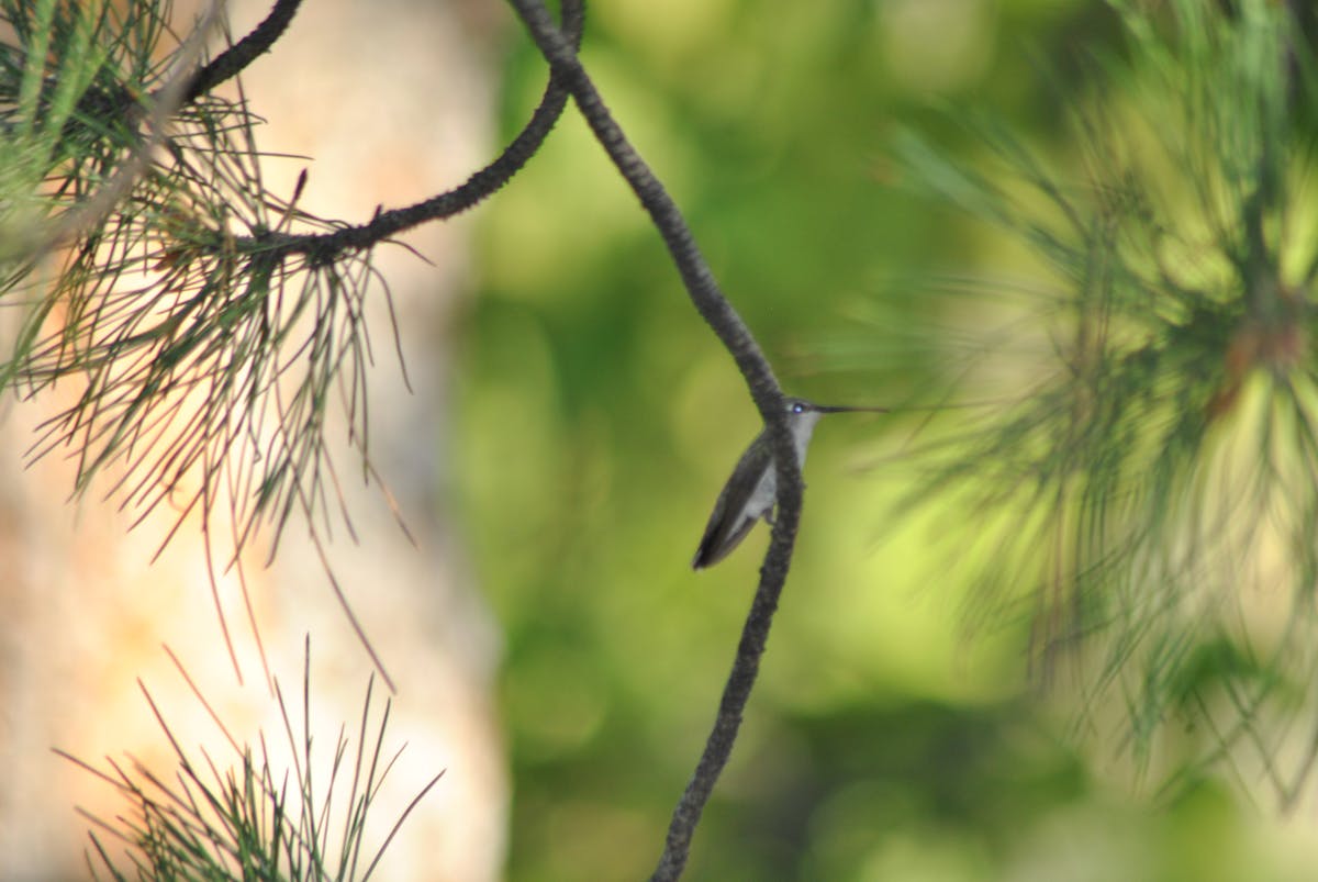 ¿El intendente de Reconquista sabrá qué es un astillero? 🚣‍♂️