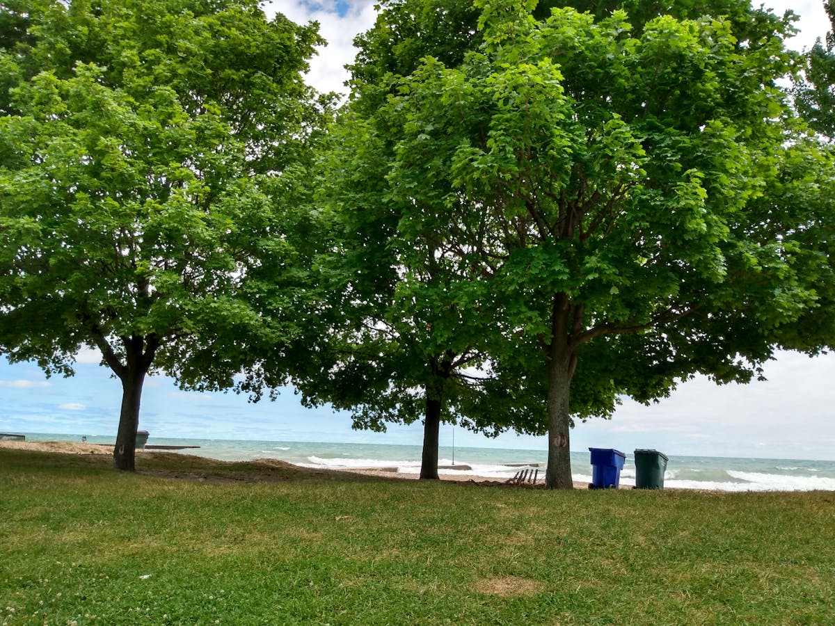 ¿Quién es Nils Peterson y Por qué Deberías Cuidarte? 🚨