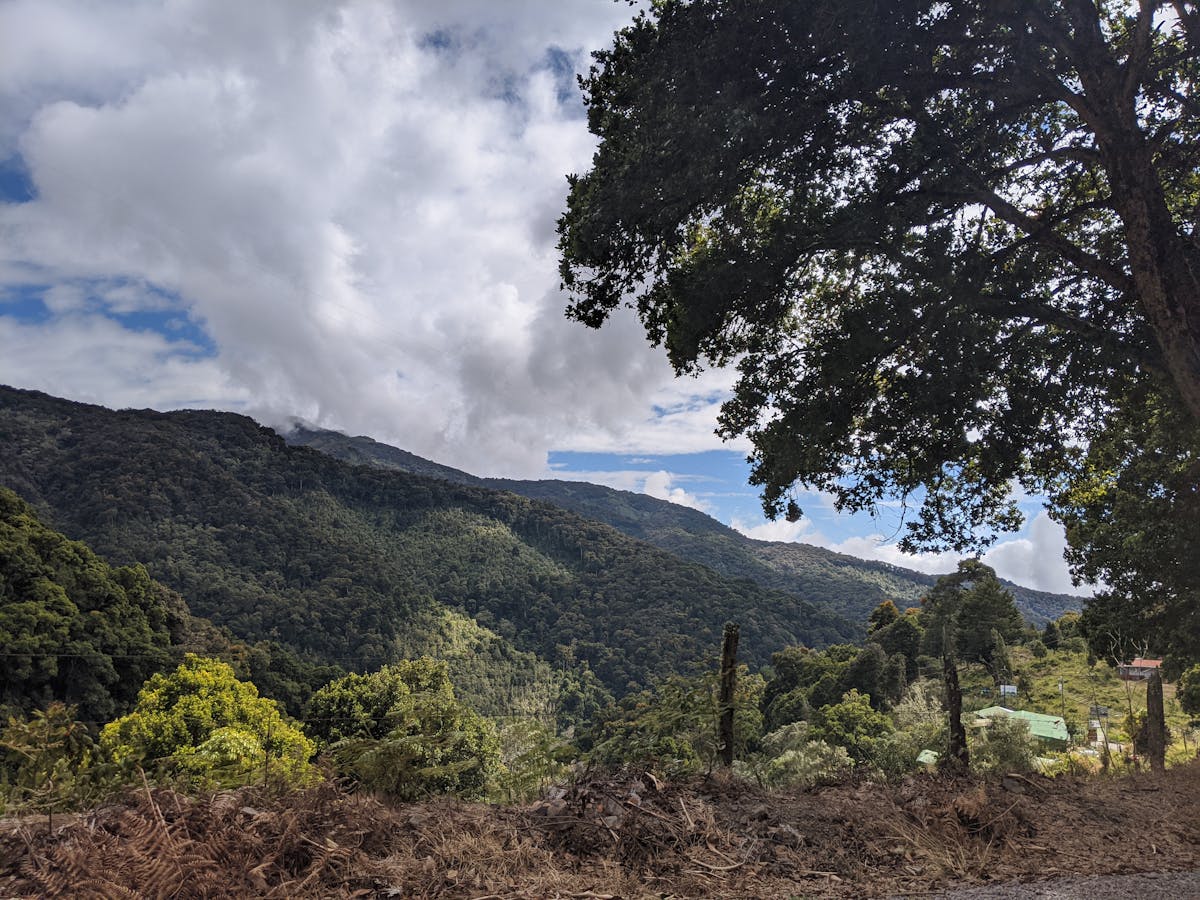 🤔 ¿Tu Empresa Tiene Ciberseguridad o Solo Finge?